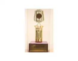 Award 4