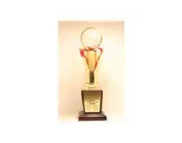 Award 2